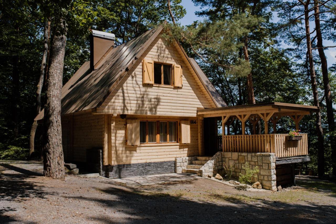 Mineral Lodge
